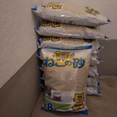 猫砂ベントナイト8L×8袋