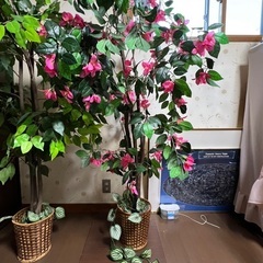 造花の画像