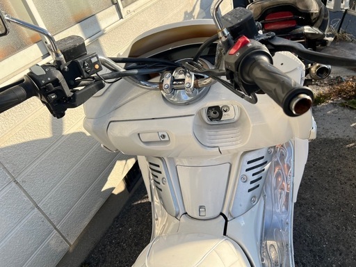 マグザム250