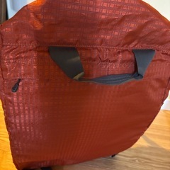 (お話し中)パタゴニア　軽量ボストンバッグの画像