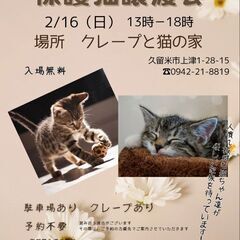 保護猫譲渡会2/16(日)