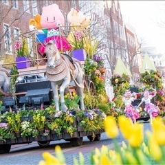 (日払い)2月13.14日　ハウステンボス花装飾作業