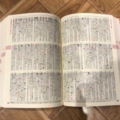 新国語辞典の画像
