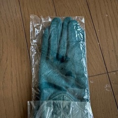 新品未使用✴︎レディース手袋の画像