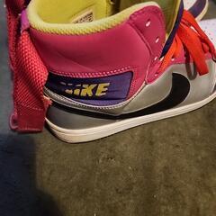 NIKE ダイナスティ 27cm マルチカラーの画像