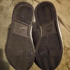 NIKE ダイナスティ 27cm マルチカラーの画像