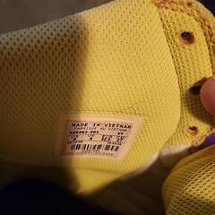 NIKE ダイナスティ 27cm マルチカラーの画像