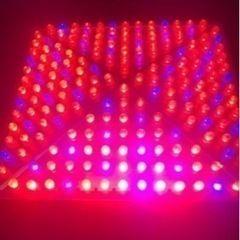 LEDライト