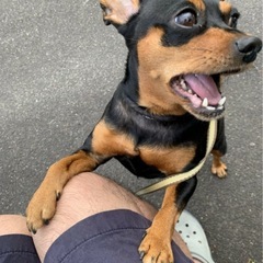 ドッグラン&犬カフェ🐕‍🦺