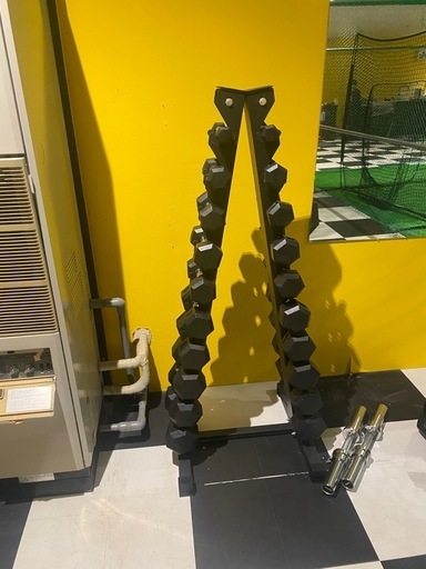 ダンベルツリー