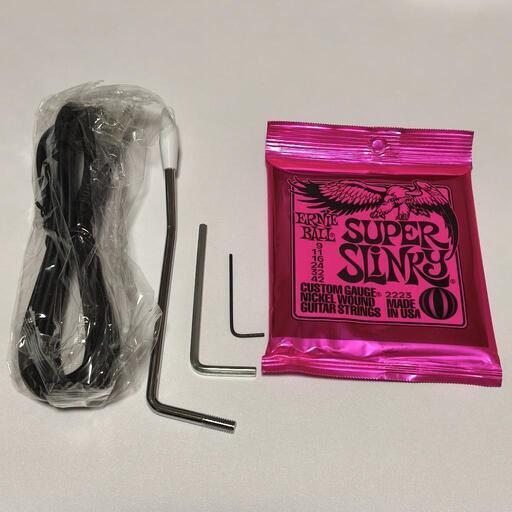 SELDER エレキギター 左利き用 サウスポー レフティ (おいない