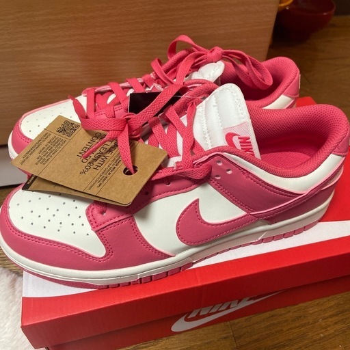 NIKE26センチ