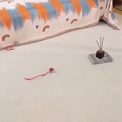 新品同様　猫　おもちゃの画像