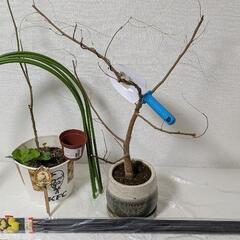植木鉢,

枯れ木,
移植ごて
,アーチ支柱,
支柱,
園芸ワイ...