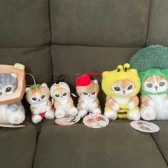 可愛いモフサンド、たくさん譲ります。の画像