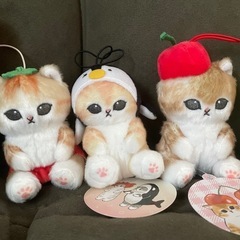 可愛いモフサンド、たくさん譲ります。の画像