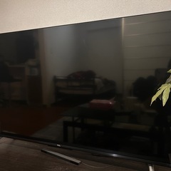 テレビ
