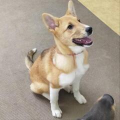 たれ目のにこちゃん 生後5ヶ月