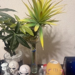 人工植物３つの画像