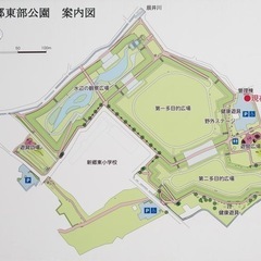 新郷東部公園でランニング。