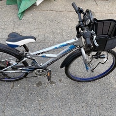 24インチサイクリング車