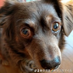 🌈塗装お任せください🌈