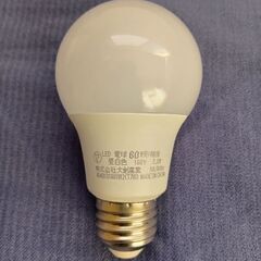 電球💡2個の画像