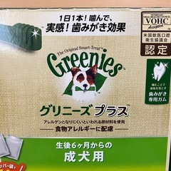 グリニーズプラス 歯磨きガム