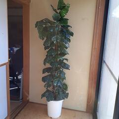 造花観葉植物