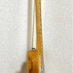 FENDER Mexico / Classic
 Series 72 Telecaster Thinline Natural / 72シンラインの画像