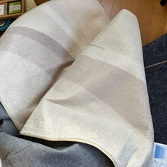 パナソニック　ホットカーペット　2畳用の画像