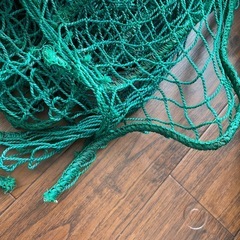 ネット　緑色の画像