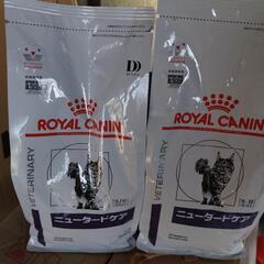 ROYAL  CANINの画像
