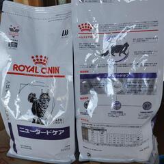 ROYAL  CANINの画像