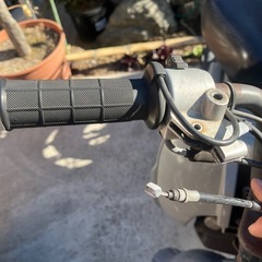 スズキ　バーディ　50ccの画像