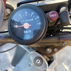 スズキ　バーディ　50ccの画像