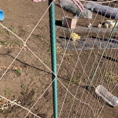 数名の方とお話し中‼︎家庭菜園、ガーデニング用支柱　残りわずか