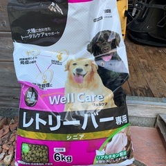 レトリバー専用　シニア用フード　6キロと犬用おやつハードタイプ