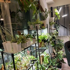 多肉植物など植物好きさん - メンバー募集