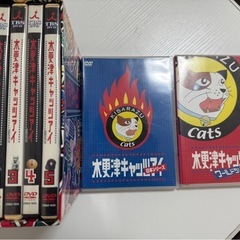 おうち時間　木更津キャッツアイ DVDセット