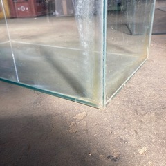 ※欠けあり 水漏れ無し 60cm ガラス水槽の画像