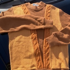 レディセーターM