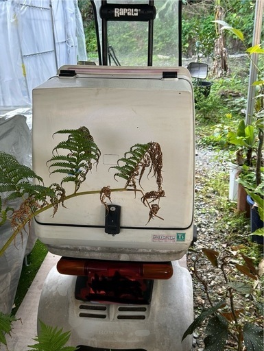 ジャイロキャノピー(4スト)