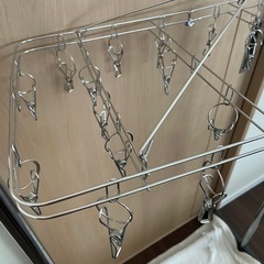 🐍受付中🐍ピンチハンガーの画像