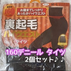 最終値下げ 裏起毛ハイウエスト タイツ 160デニール 裏起毛 ...