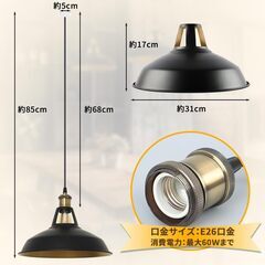 【未使用】ペンダントライト、ウィッグセットの画像