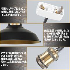 【未使用】ペンダントライト、ウィッグセットの画像