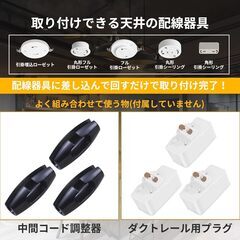 【未使用】ペンダントライト、ウィッグセットの画像