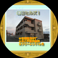 👠磐田ヒルズⅠ202号室👠🐶ペット(犬・猫）飼育可！🏠磐田…