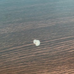 ホームコタツの画像